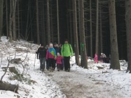 silvestr 2019